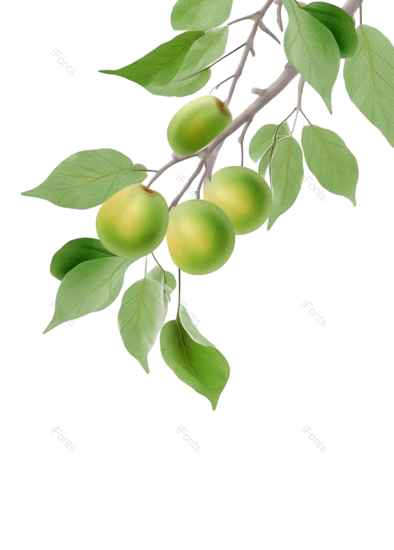 芒种图片,树叶元素,绿色PNG,植物免抠素材